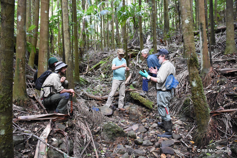 The survey team in the upper Mudgeeraba Creek